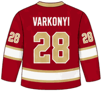 Varkonyi jersey, number 28